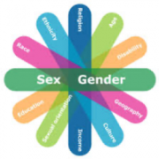 Flower shape graphic depicting intersection factors such as sex, gender, race, age/