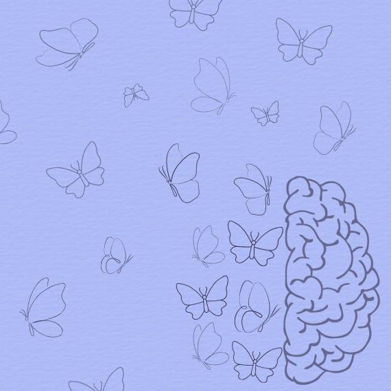 A drawing of half a brain is in the bottom right corner. The other half of the brain is made up of butterflies, with other butterflies flying around. 