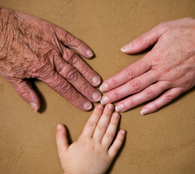 Three hands touching in the middle, one old and wrinkled, one middle aged, and a child hand. They all have a light complexion. 