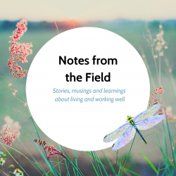  Stories, musings and learnings about living and working well