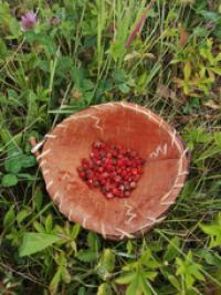Strawberries in a birchbark bowl